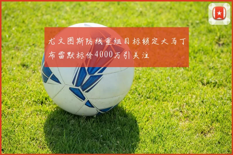 尤文图斯防线重组目标锁定大马丁布雷默标价4000万引关注